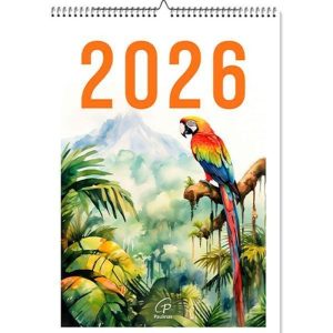 CALENDÁRIO DE PAREDE 2026 - ILUSTRADO