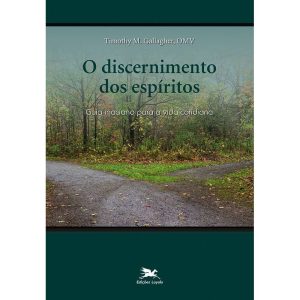O DISCERNIMENTO DOS ESPÍRITOS - GUIA INACIANO PARA A VIDA COTIDIANA