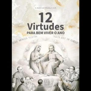12 VIRTUDES PARA BEM VIVER O ANO