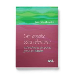 UM ESPELHO PARA RELEMBRAR: ESCLARECIMENTO DOS PONT - LÚCIDA LETRA