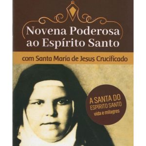 NOVENA PODEROSA AO ESPÍRITO SANTO COM SANTA MARIA  - ÁGAPE (PE. ALBERTO)