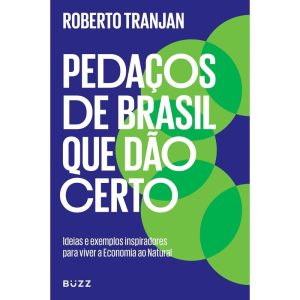 PEDAÇOS DE BRASIL QUE DÃO CERTO: IDEIAS E EXEMPLOS - BUZZ EDITORA