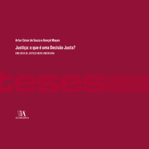 Justiça: o que é uma decisão justa?: uma ideia de