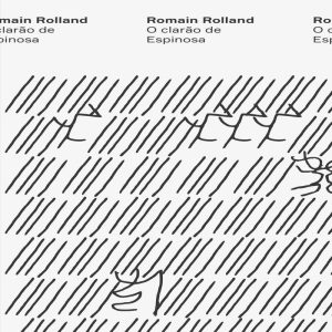 O CLARÃO DE ESPINOSA - EDICOES N-1