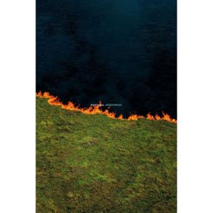 PANTANAL - EDIÇÕES SESC