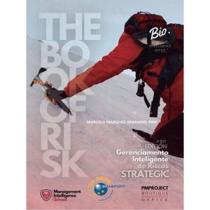 THE BOOK OF RISK - GERENCIAMENTO INTELIGENTE DE RI - BRASPORT LIVROS E MULTIMIDIA