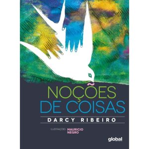 NOÇÕES DE COISAS - GLOBAL EDITORA E DISTRIBUIDORA