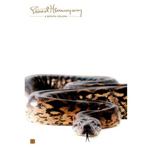 A QUINTA-COLUNA - BERTRAND BRASIL