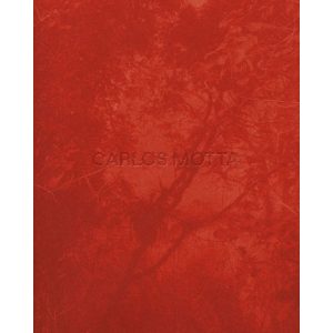 CARLOS MOTTA: MARCENARIA, ARQUITETURA E DESIGN - UBU EDITORA