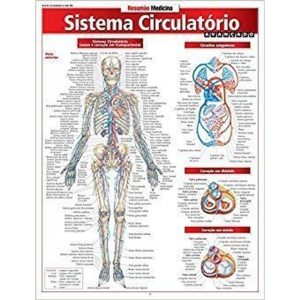 SISTEMA CIRCULATORIO AVANCADO - 1ª - BARROS, FISCHER & ASSOCIADOS