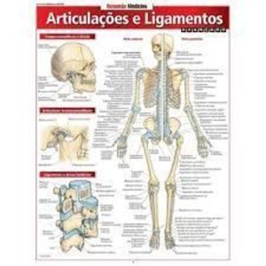 RESUMÃO MEDICINA - ARTICULAÇÕES E LIGAMENTOS - BARROS, FISCHER & ASSOCIADOS