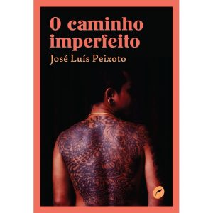 O CAMINHO IMPERFEITO - EDITORA DUBLINENSE