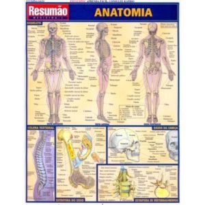 RESUMAO - ANATOMIA - BARROS, FISCHER & ASSOCIADOS