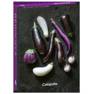 SENTTIA BERINJELA - CATAPULTA